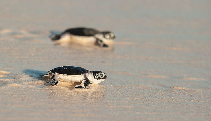 seychelles,things to do in seychelles,places to visit in seychelles