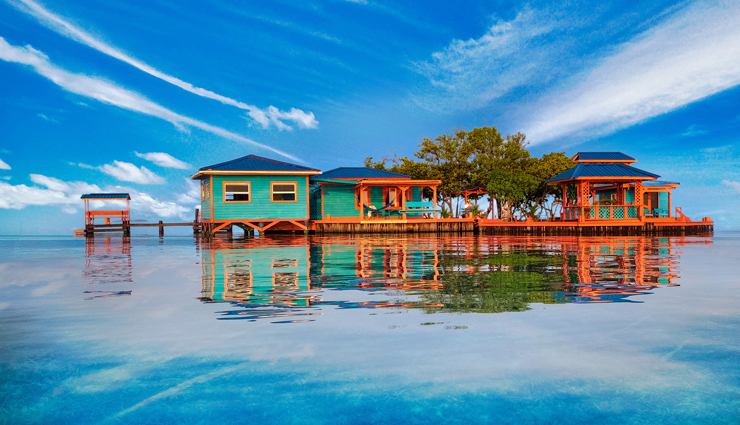 seychelles,attractions in seychelles,must visit places in seychelles,anse georgette,curieuse island,bird island,the jellyfish tree,aldabra atoll,fond ferdinand