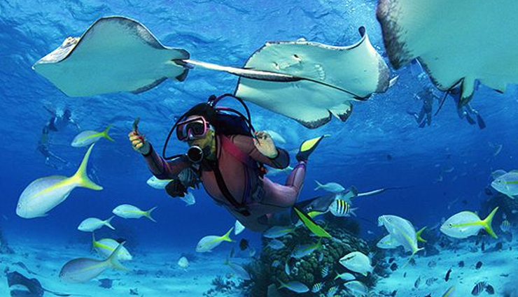 seychelles,things to do in seychelles,places to visit in seychelles