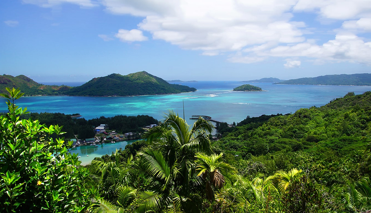 seychelles,attractions in seychelles,must visit places in seychelles,anse georgette,curieuse island,bird island,the jellyfish tree,aldabra atoll,fond ferdinand