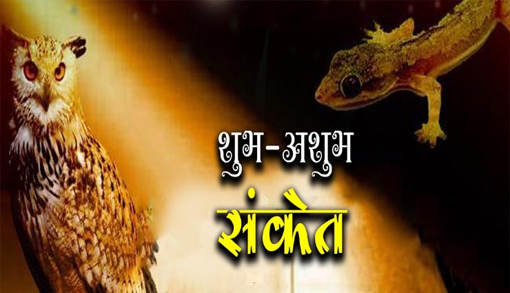 कामयाबी और लाभ का संकेत देते हैं घर के बाहर दिखाई दिए ये जानवर