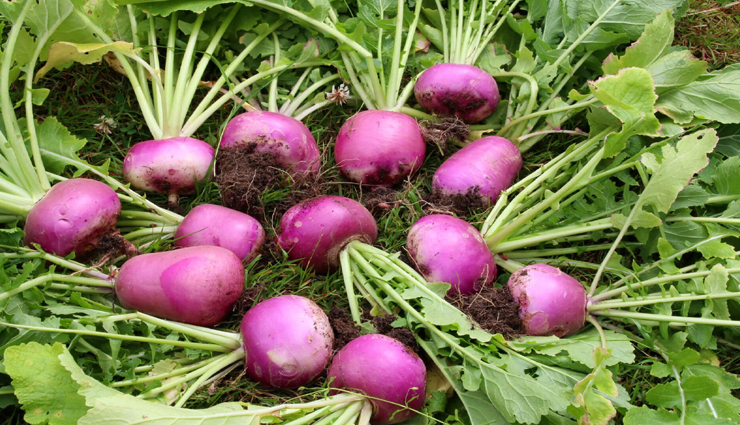 Health tips,health tips in hindi,diabetes,home remedies