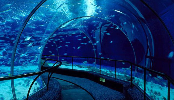 largest aquariums,worlds biggest marine exhibits,top aquarium destinations,aquatic wonders,marine life spectacles,oceanariums around the globe,giant fish tanks,underwater biodiversity,record-breaking aquariums,oceanic showcases