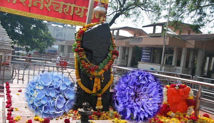 flower which makes god happy,astrology tips,mythology