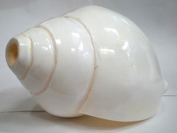 pooja,astrology,astro