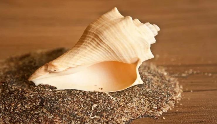 weird news,weird information,badrinath temple,mysterious story,conch in badrinath temple