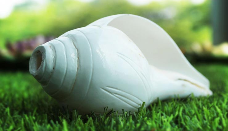 astrology tips,astrology tips in hindi,conch importance,conch remedies