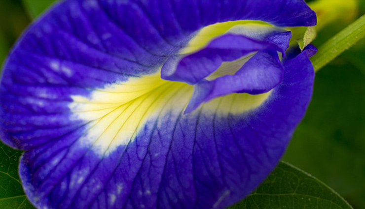 home remedies for dementia symptoms,managing dementia symptoms naturally,dementia symptom relief at home,natural approaches to cope with dementia,home-based strategies for dementia care,supporting dementia patients at home,lifestyle changes for dementia management,coping with dementia using home remedies,non-pharmacological interventions for dementia,holistic approaches to dementia support at home