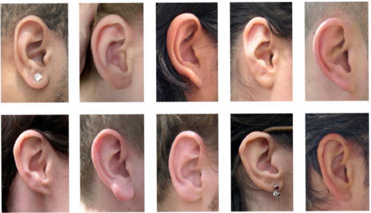 कान की बनावट बताती है बहुत कुछ, जानें किस तरह पता करें इससे व्यक्ति का स्वभाव