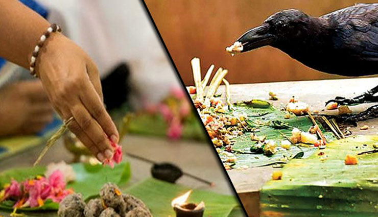 mistake in shraddha,pitr paksh,keep in mind these things,astrology tips