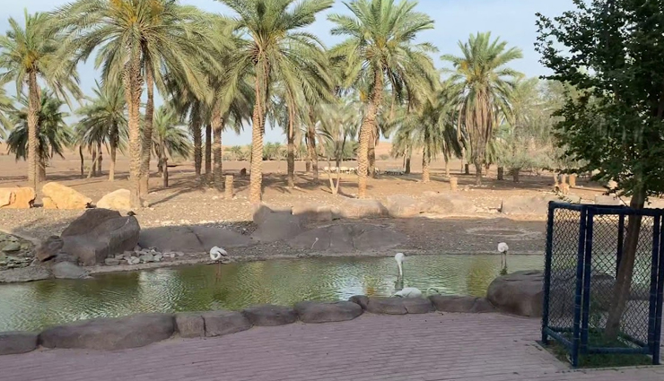 sharjah,places to visit in sharjah,tourist attraction in sharjah,sharjah museum of islamic civilization,al qasba,sharjah desert park,al majaz waterfront,sharjah aquarium,al noor island