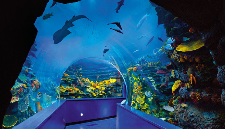 sharjah,places to visit in sharjah,tourist attraction in sharjah,sharjah museum of islamic civilization,al qasba,sharjah desert park,al majaz waterfront,sharjah aquarium,al noor island