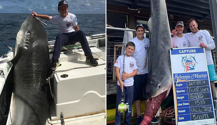8 साल के बच्चे ने पकड़ी 314 किलो वजनी शार्क,  टुटा 22 साल पुराना रिकॉर्ड 