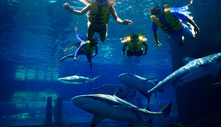 adventure sports in dubai,dune bashing dubai,sandboarding in dubai,skiing dubai,skydiving dubai,bungee jumping dubai,shark diving dubai,microlighting dubai,flyboarding dubai,hot air balloon ride dubai,racing in dubai,indoor skydiving dubai,adventure activities dubai,dubai desert sports,extreme sports dubai,dubai adventure tourism,best adventure sports dubai,dubai adventure experiences,dubai thrill-seeking activities,dubai adventure attractions,top adventure sports dubai,adventure lovers dubai,dubai adventure travel