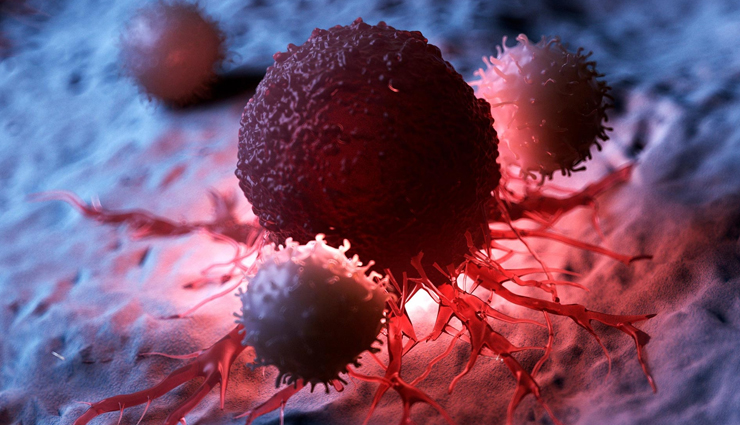 shatavari churna,health benefits of shatavari churna,Health tips,fitness tips