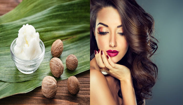 बालों से जुड़ी हर समस्या का इलाज है शिया बटर में, इस तरह करे इस्तेमाल shea butter nourish damaged hair,beauty tips,hair care tips,hair care