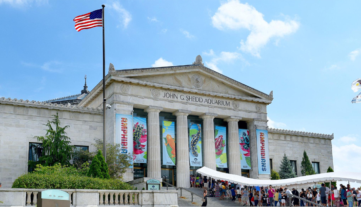 dolphin aquariums,zoos with dolphins,aquariums featuring dolphins,dolphin exhibits in zoos,best dolphin aquariums,top zoos for dolphin encounters,dolphin shows at aquariums,family-friendly dolphin attractions,where to see dolphins in aquariums,educational dolphin encounters in zoos,dolphin experiences for visitors,dolphin habitats in aquariums,zoological parks with dolphins,interactive dolphin tours,dolphin conservation in aquariums,close encounters with dolphins,popular zoos with dolphin shows,aquariums and zoos for dolphin lovers,dolphin-themed attractions,dolphin conservation efforts in zoos