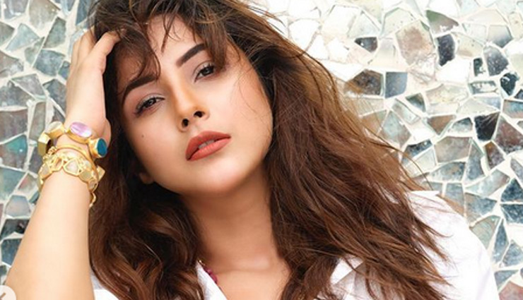 सफेद रंग की शर्ट के साथ शहनाज गिल ने पहनी मल्टीकलर पैंट, लेटेस्ट Photoshoot ने फिर जीता फैंस का दिल