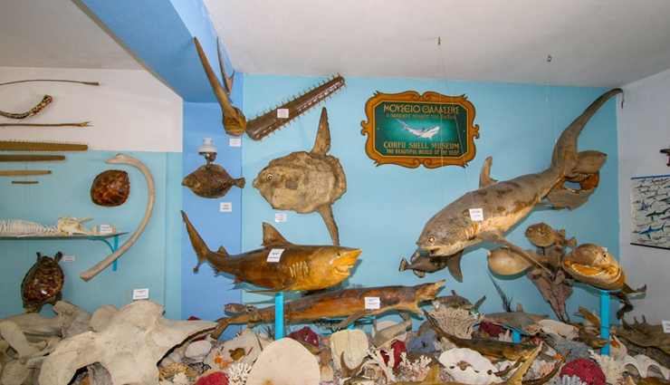 diu,beautiful places to visit in diu,travel,holidays,travel guide