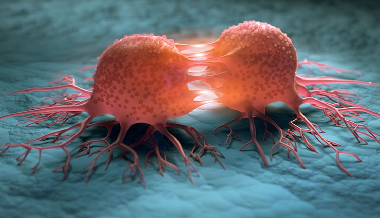 health benefits of shiitake mushrooms,shiitake mushrooms,Health tips,fitness tips