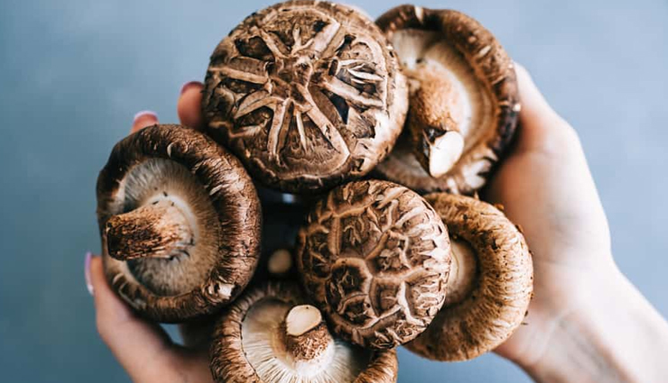 mushroom nutrition,health benefits of mushrooms,mushroom varieties,cooking with mushrooms,mushroom recipes,mushroom health properties,mushroom antioxidants,immune-boosting mushrooms,mushroom fiber content,mushroom vitamin content,mushroom minerals,mushroom bioactive compounds,mushroom culinary uses,mushroom savory dishes,mushroom soup recipes