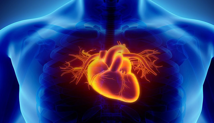 health benefits of shiitake mushrooms,shiitake mushrooms,Health tips,fitness tips