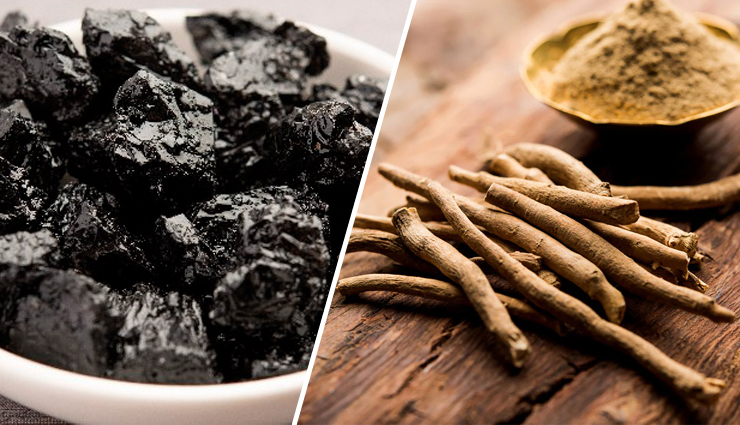 Which Will Give You Healthy Life- Shilajit or Ashwagandha?