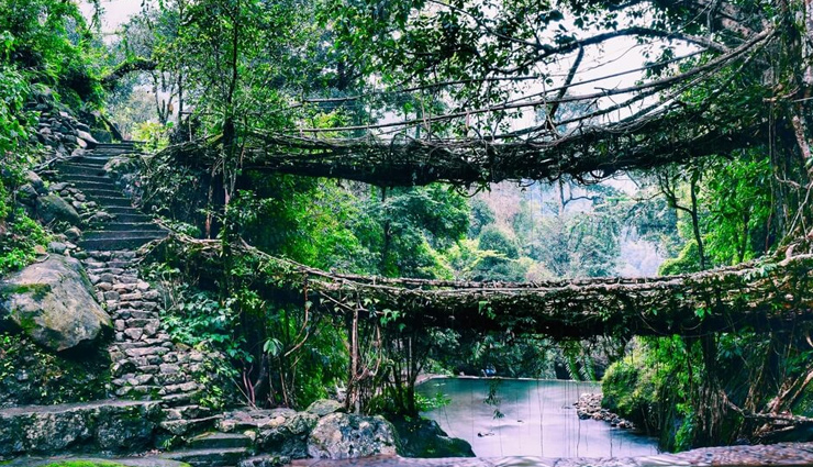 retirement,places to visit after retirement,shillong,jim corbett,sundervan,ooty,andaman,holidays,travel,tourism