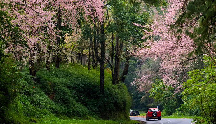 best places to visit in summers,holidays,travel,tourism