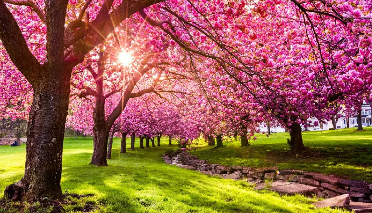 places to visit in june in india,premier destinations in june,top june destinations in india,june getaways in india,june escapes in india,ideal places to visit in june,best-kept june destinations in india,scenic june destinations in india,tranquil june getaways in india,captivating june escapes in india