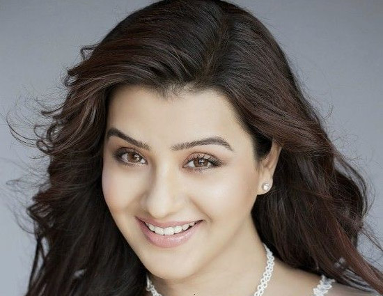 Bigg Boss 11- Everything You Need To Know About Shilpa Shinde