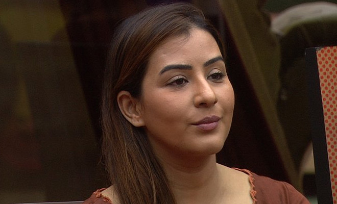 bigg boss 11,Salman Khan,bigg boss updates,bigg boss news,vikas gupta,hina khan,arshi khan,Shilpa Shinde