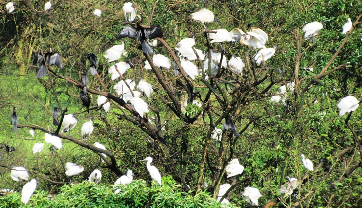 shimoga,places to visit in shimoga,tourist spots in shimoga,kodachadri,jog falls,gudavi bird sanctuary,keladi,barkana falls