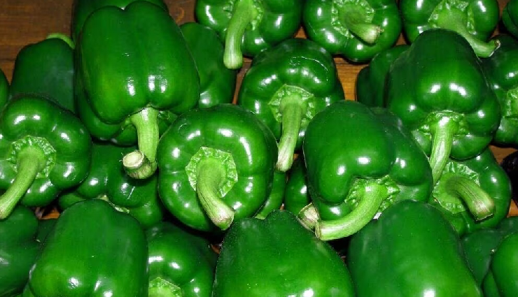 हिट है भरवां शिमला मिर्च, छोटे-बड़े सबके दिलो-दिमाग में फिट हो जाता है इस डिश का टेस्ट #Recipe bharwan shimla mirch,stuffed bell pepper,indian stuffed capsicum,bharwan shimla mirch recipe,delicious stuffed pepper,spicy stuffed capsicum,authentic indian dish,easy stuffed bell pepper recipe,flavorful stuffed shimla mirch,tasty bharwan shimla mirch