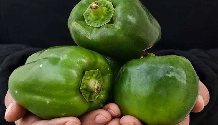 बेसन शिमला मिर्च : स्वाद में है कुछ ऐसी बात, हर कोई इसको हमेशा रखना चाहेगा याद #Recipe besan shimla mirch,besan shimla mirch tasty,besan shimla mirch delicious,besan shimla mirch ingredients,besan shimla mirch recipe,besan shimla mirch different dish,besan shimla mirch children,besan shimla mirch tiffin box