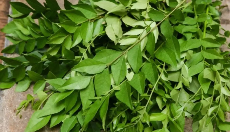 coconut and cream mask,oatmeal hair mask,banana creme mask,curry leaves mask,hibiscus hair mask,diy masks,diy hair masks,hair care tips,tips to get shiny hair