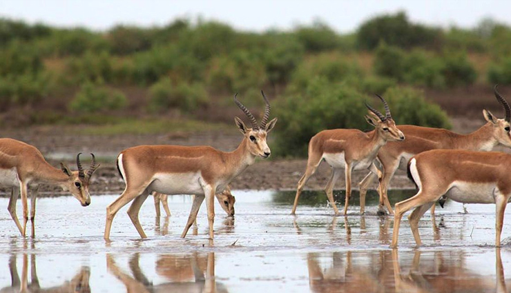 azerbaijan,places to visit in azerbaijan,azerbaijan travel,azerbaijan tourism,tourist places in azerbaijan,azerbaijan travel guide,azerbaijan travel tips,holidays,travel guide