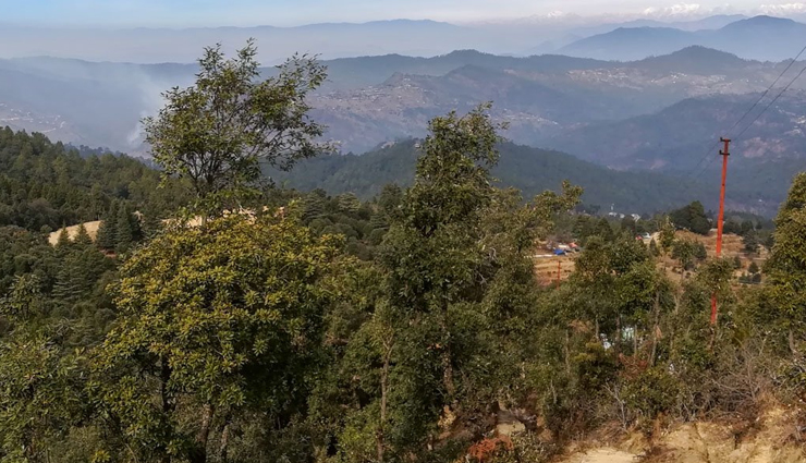 shitlakhet tourist attractions,places to visit in shitlakhet almora,must-see sights in shitlakhet hill station,shitlakhet,almora tourism,natural beauty of shitlakhet,top tourist spots in shitlakhet,exploring shitlakhet,almora,shitlakhet travel guide,famous places in shitlakhet,scenic beauty of shitlakhet hill station,offbeat destinations in shitlakhet,tourist activities in shitlakhet,shitlakhet sightseeing spots,best viewpoints in shitlakhet almora,serene retreats of shitlakhet