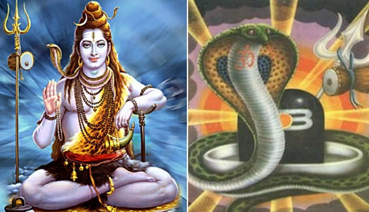 naag panchmi,naag panchmi pooja,naag panchmi pooja right time