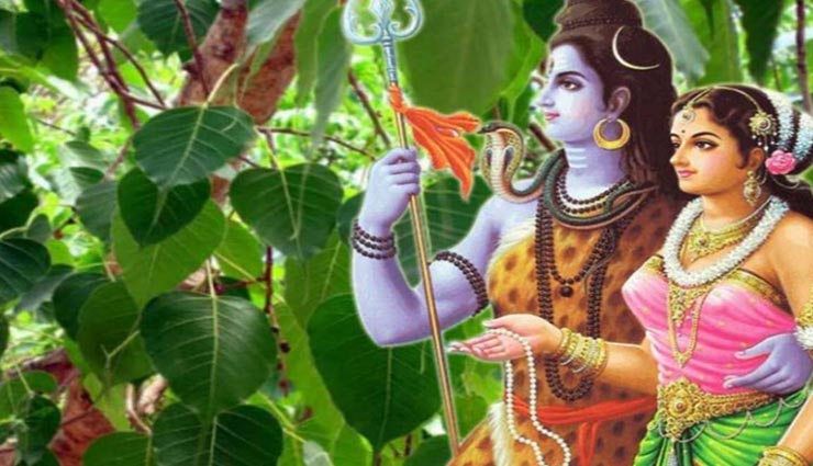 astrology tips,astrology tips in hindi,sawan,sawan special,sawan 2020,lord shiva,hariyali teej 2020