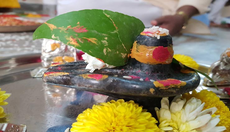 astrology tips,astrology tips in hindi,shiva rudrabhishek,rudrabhishek in the sawan,rudrabhishek according to the zodiac sign