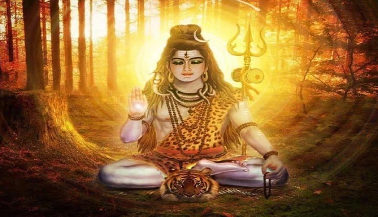 शिवजी की तस्वीर लगाते समय रखें इन नियमों का ध्यान, गलतियां ला सकती है जीवन में कष्ट astrology tips,astrology tips in hindi,shiva picture,vastu rules