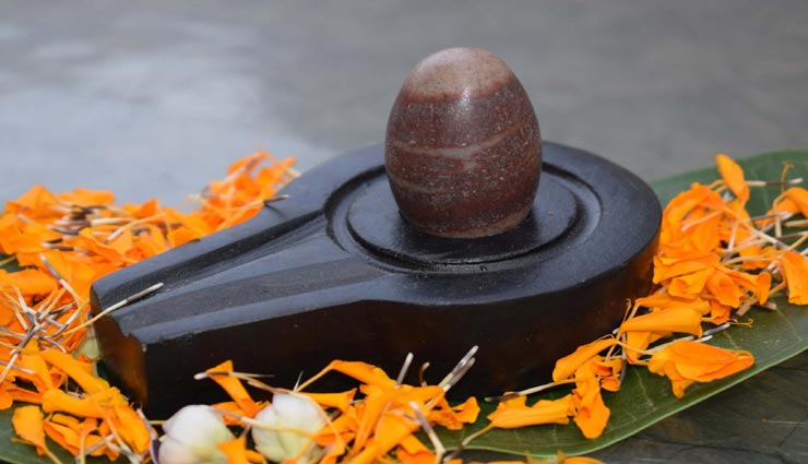 astrology tips,astrology tips in hindi,mahashivratri 2020,shivling poojan,leaves for poojan