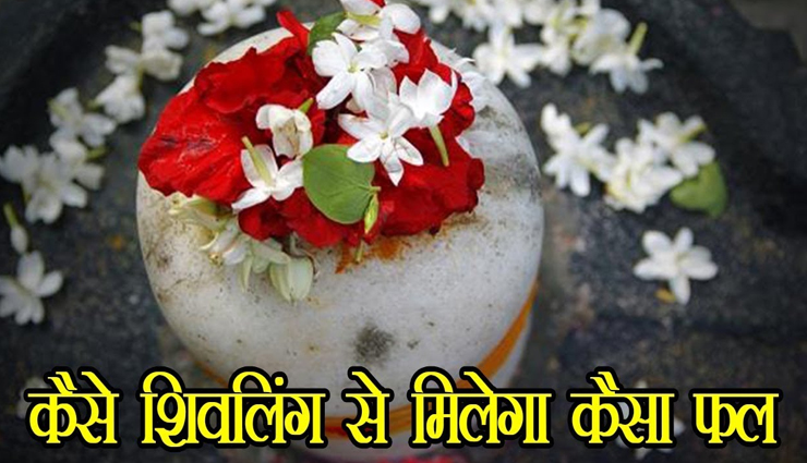 सावन स्पेशल : हर शिवलिंग रखता हैं अपना विशेष महत्व, मनोकामना के अनुसार करें पूजन