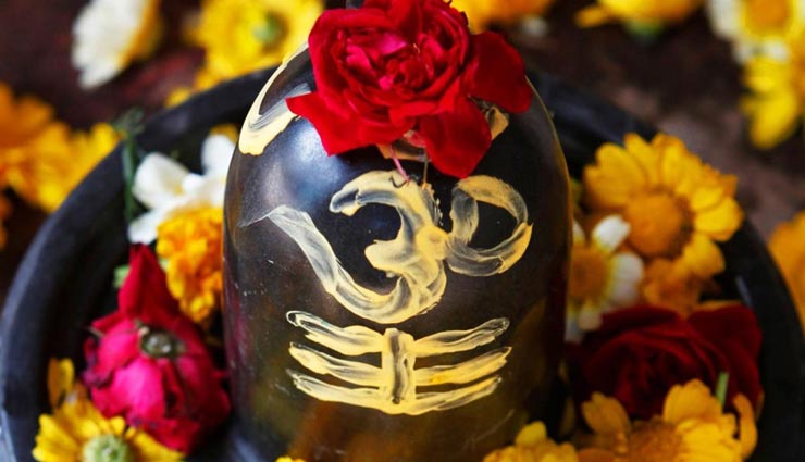 astrology tips,astrology tips in hindi,mahashivratri 2020,shivling poojan,leaves for poojan