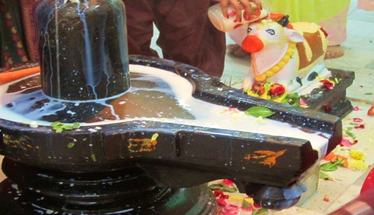 astrology tips,astrology tips in hindi,shivling,worship of shivling,rules of shivling worship