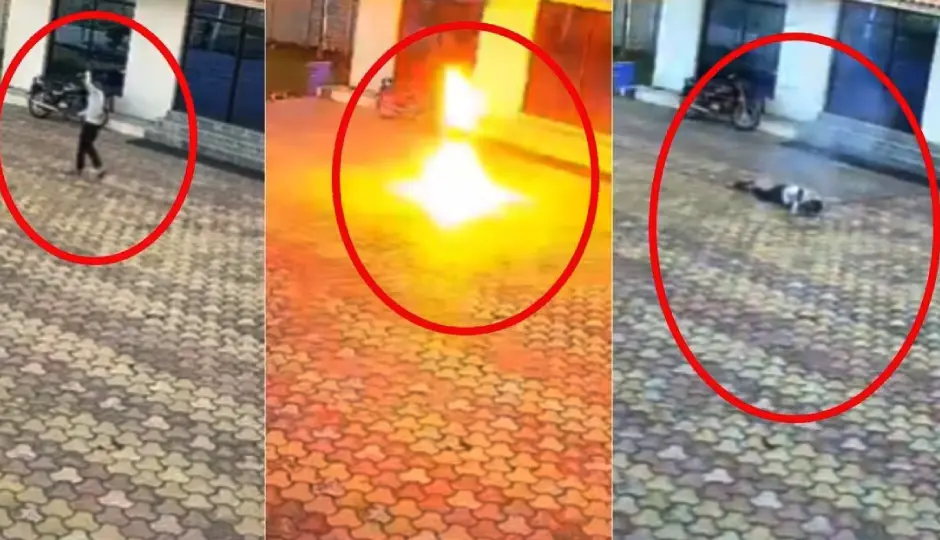 बंदर भगाने गया युवक बना हादसे का शिकार, करंट लगते ही गई जान; MP से सामने आया डरावना वीडियो