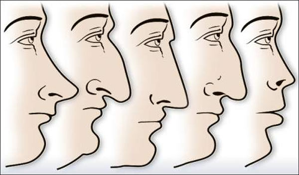 nose astrology,astrology tips,astrology ,नाक से पहचाने किसी के भी व्यक्तित्व के बारे में
