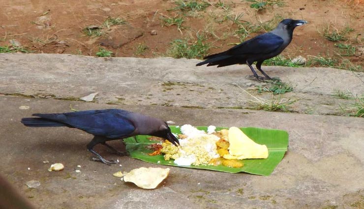 astrology tips,astrology tips in hindi,shraddha 2021