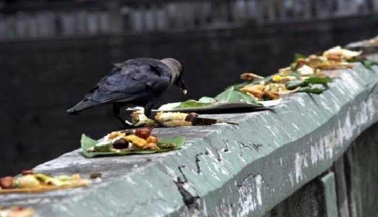 astrology tips,astrology tips in hindi,astrology measures,omnipotent amavasya,shraddh paksh 2020,shradh 2020